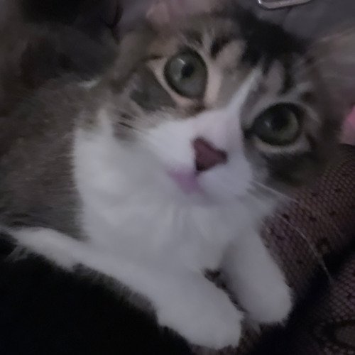 Having the Same Dream Over and Over: What Does It Mean?